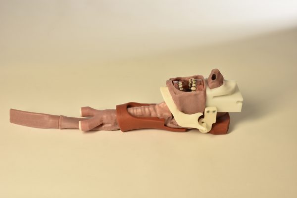 Burn Victim Skills Kit - Image 6