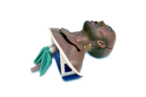 Modular Partial Airway Trainer (African American) - Image 2