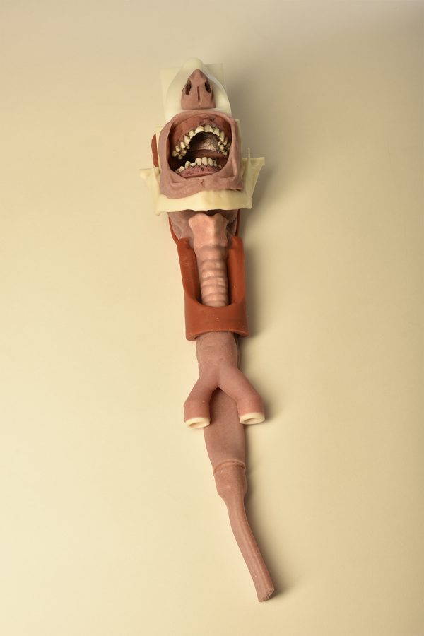 Modular Burn Victim Skills Partial Airway Trainer (Caucasian) - Image 4