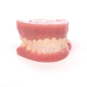 Replacement Teeth