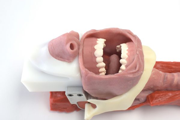 African American Complete Airway Assembly - Image 4