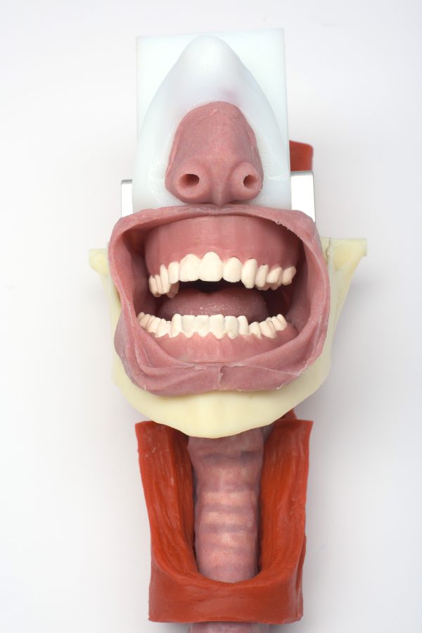 African American Complete Airway Assembly - Image 3