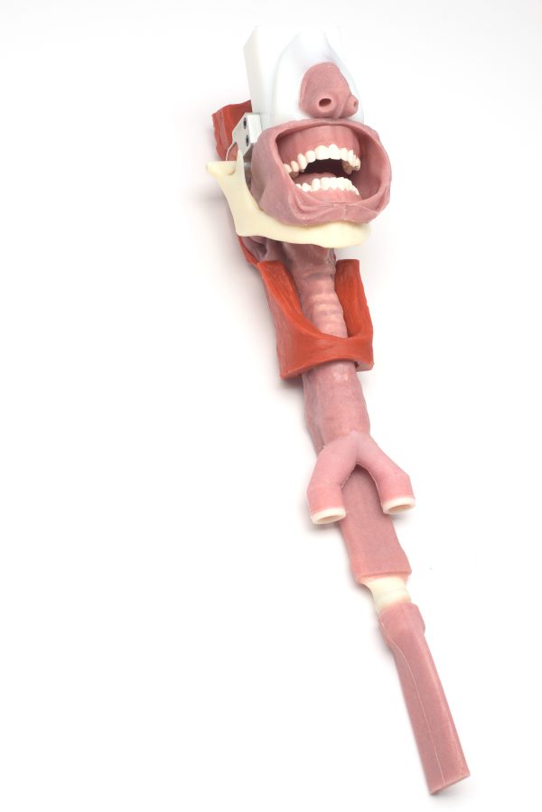 African American Complete Airway Assembly - Image 2