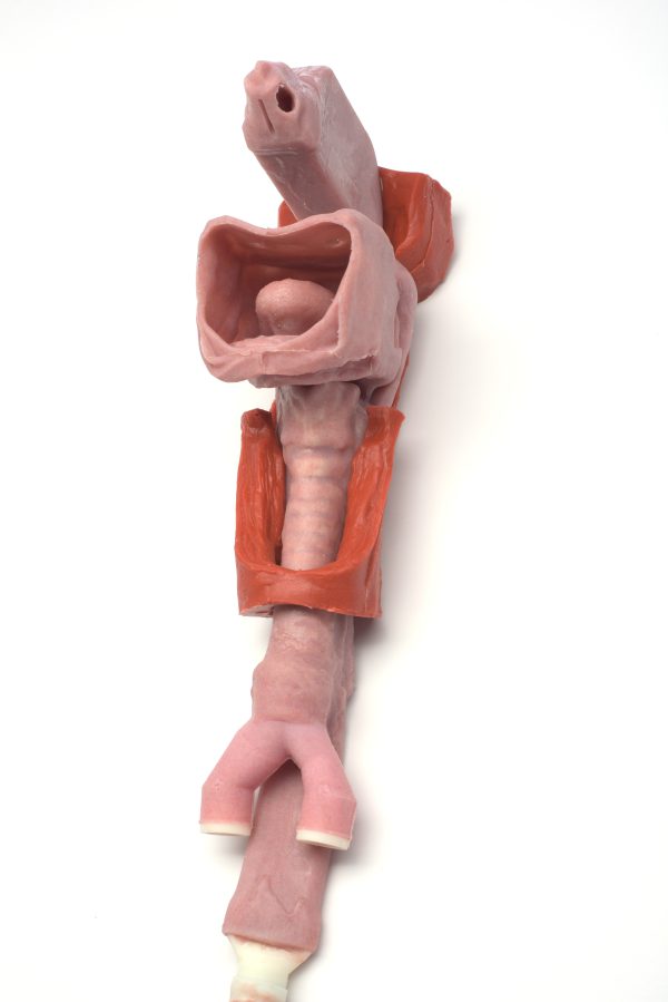 Caucasian Base Airway - Image 4