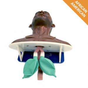 Modular Partial Airway Trainer (African American)