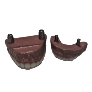 Child Trainer Replacement Teeth