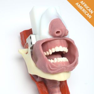 African American Complete Airway Assembly