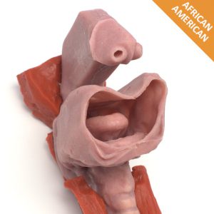 African American Base Airway