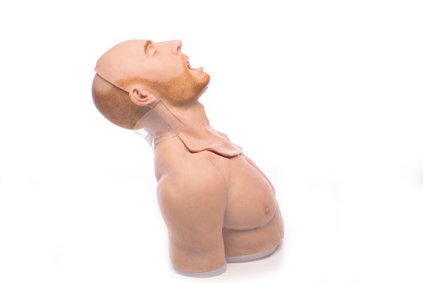 Caucasian Torso Airway Trainer - Image 2