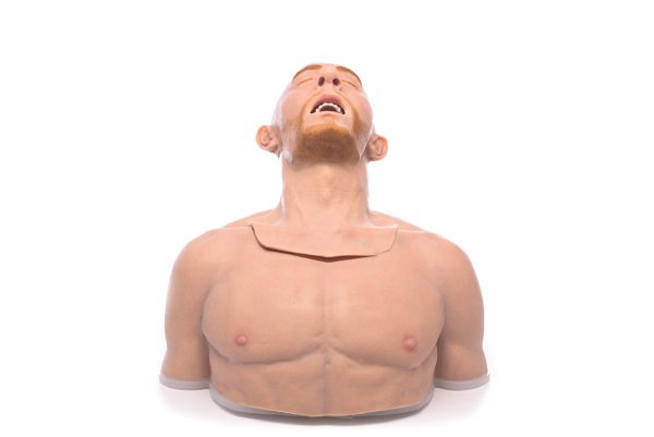 Caucasian Torso Airway Trainer - Image 4