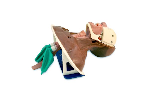 Modular Burn Victim Skills Partial Airway Trainer (African American) - Image 2